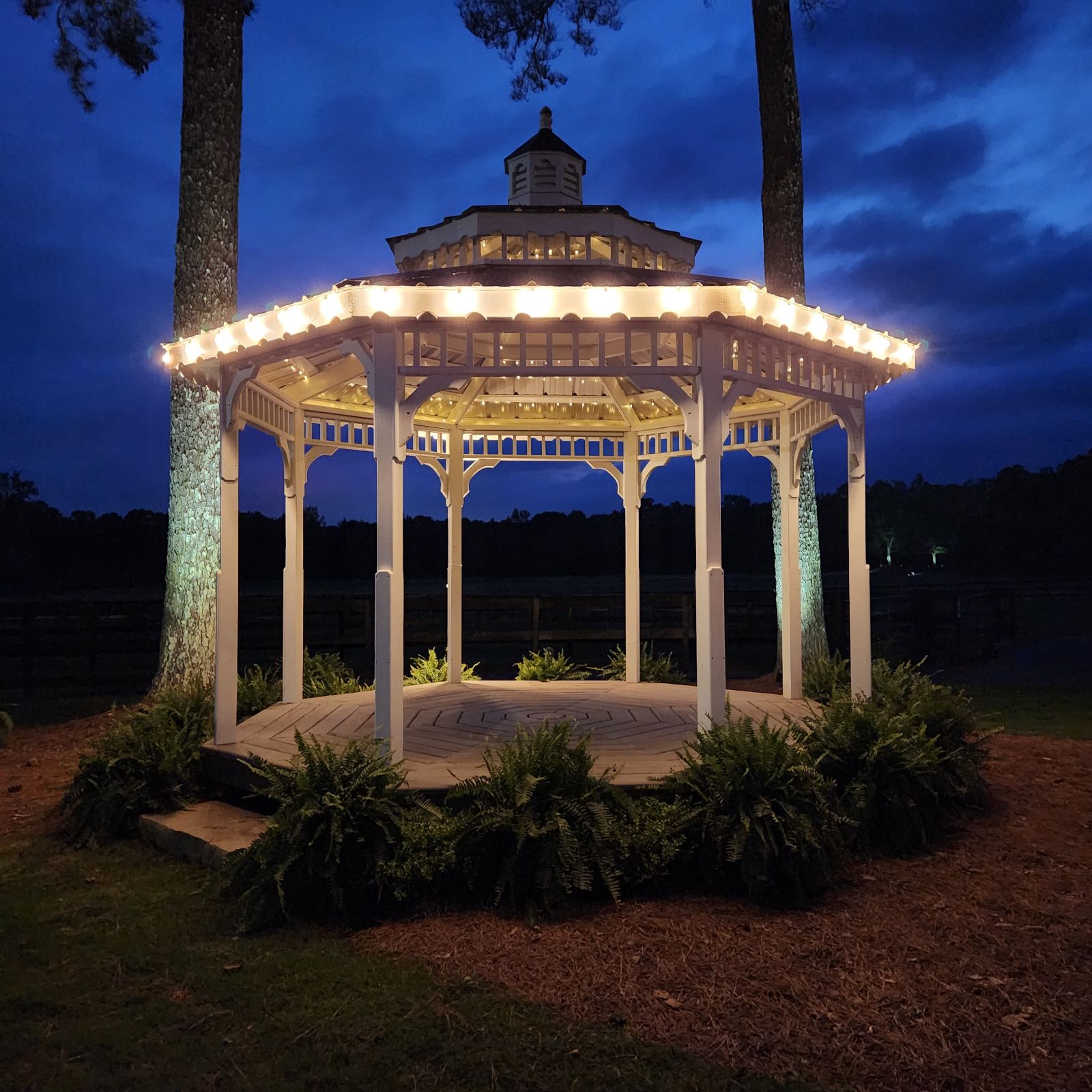 illuminated gazebo with edison bulbs and uplighting of pine trees at night for reception in Monroe, GA in Walton County, Georgia