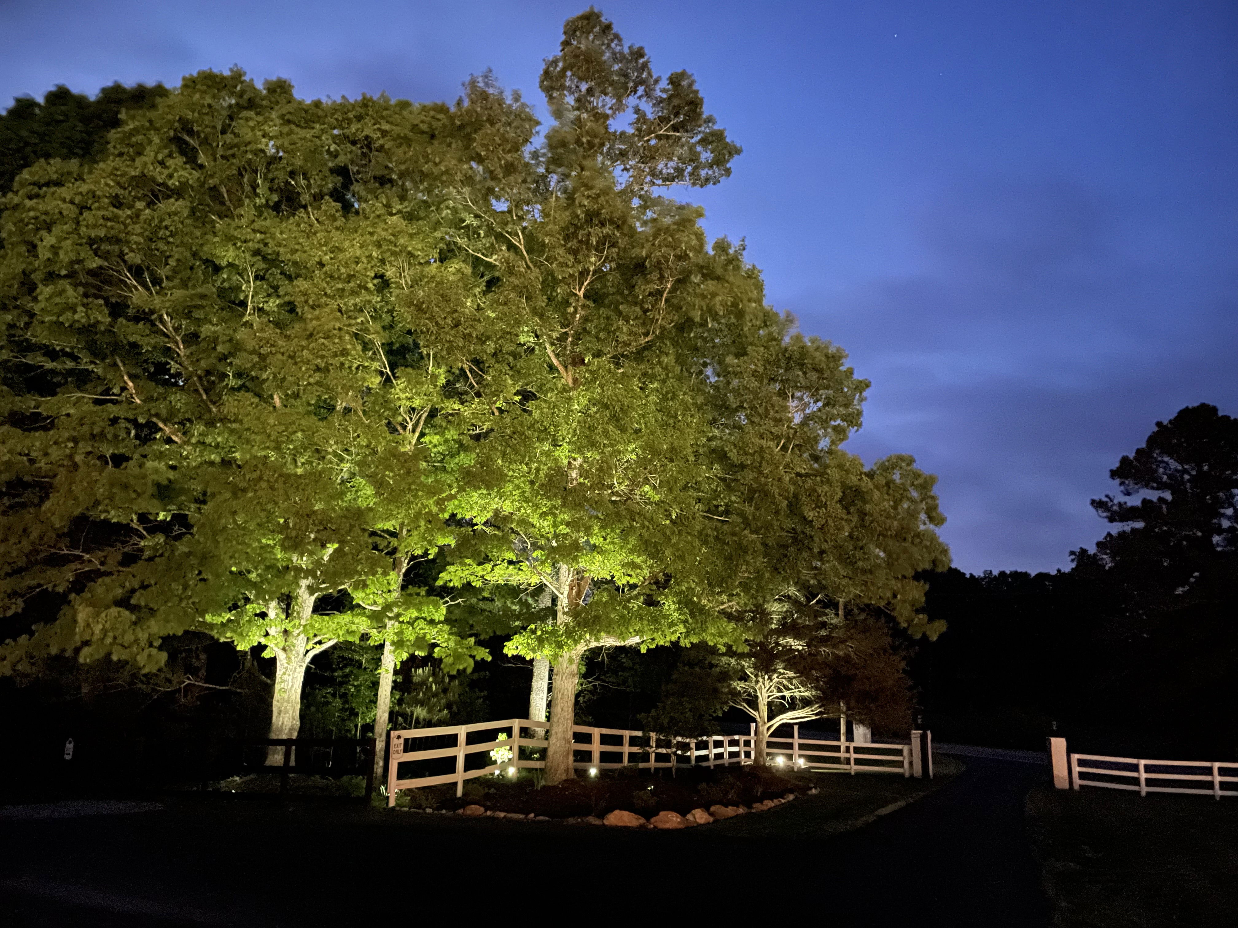 landscape lighting for romantic ambience in countryside setting of wedding venue in Monroe, GA near Oconee County, Georgia