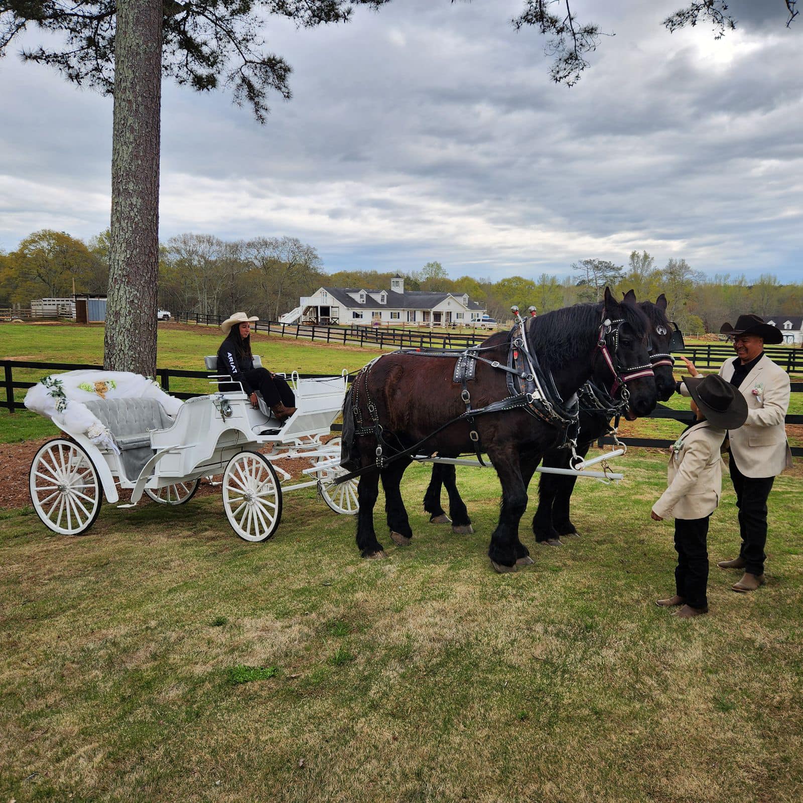 horses and carriage for wedding or quinceanera with stable near fields and meadows in Monroe, GA near Athens, Georgia