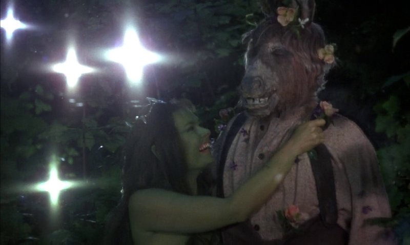 Der Sommernachtstraum