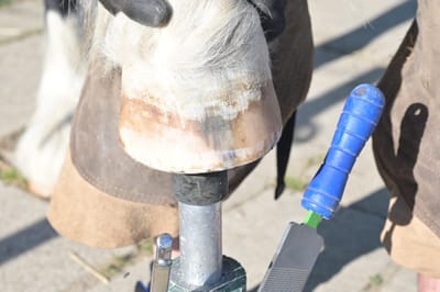 Selbstraspel Kurs
