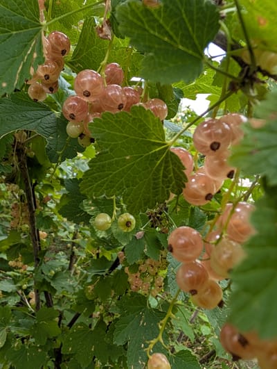 Geschlossen
