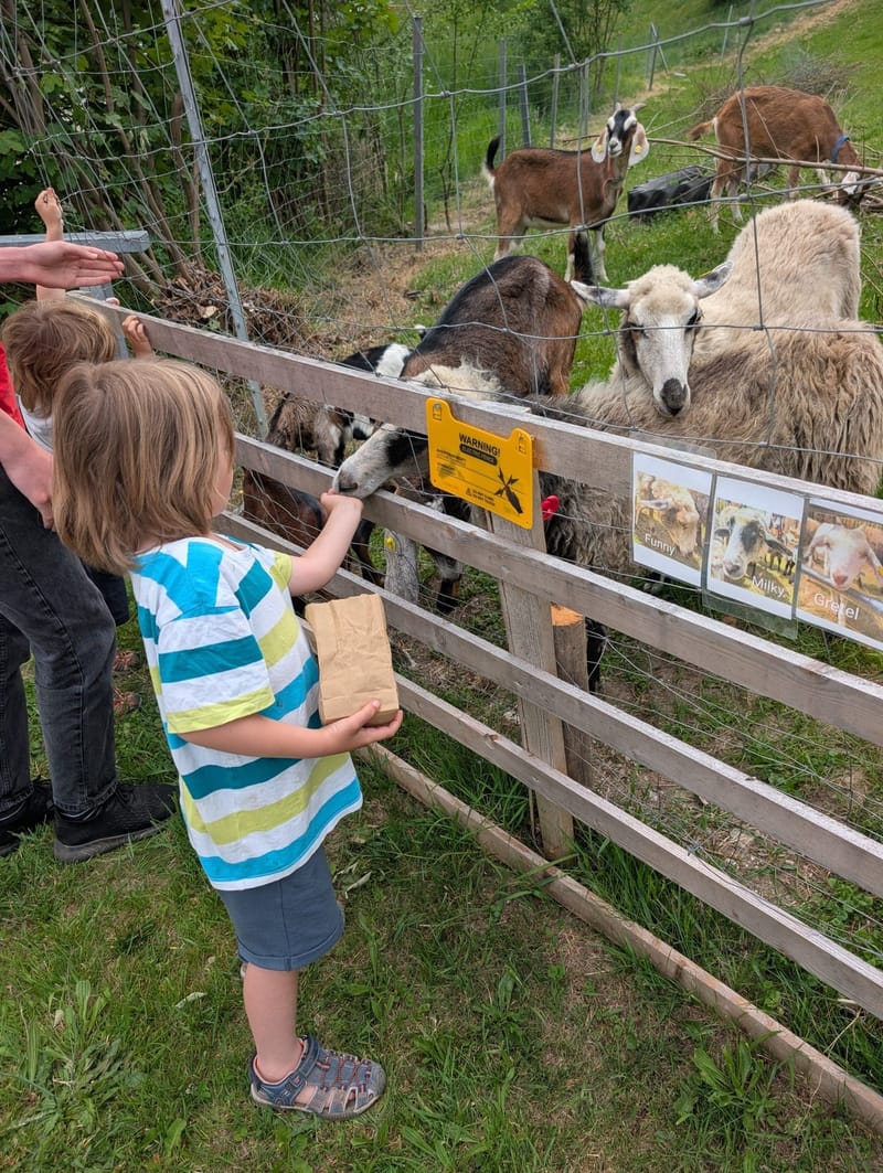 Tiere füttern
