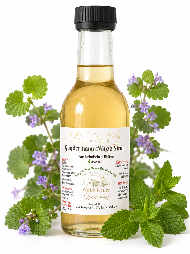 Gundermann-Minze-Sirup