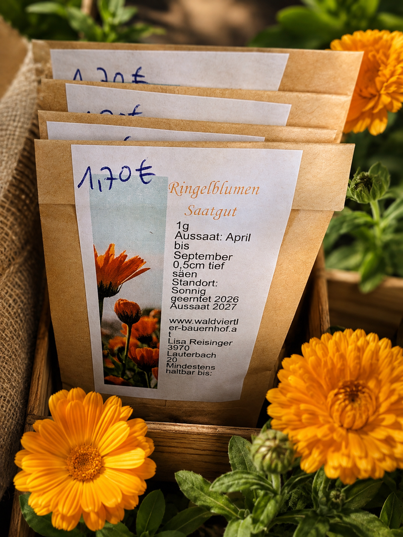 Ringelblume/Calendula