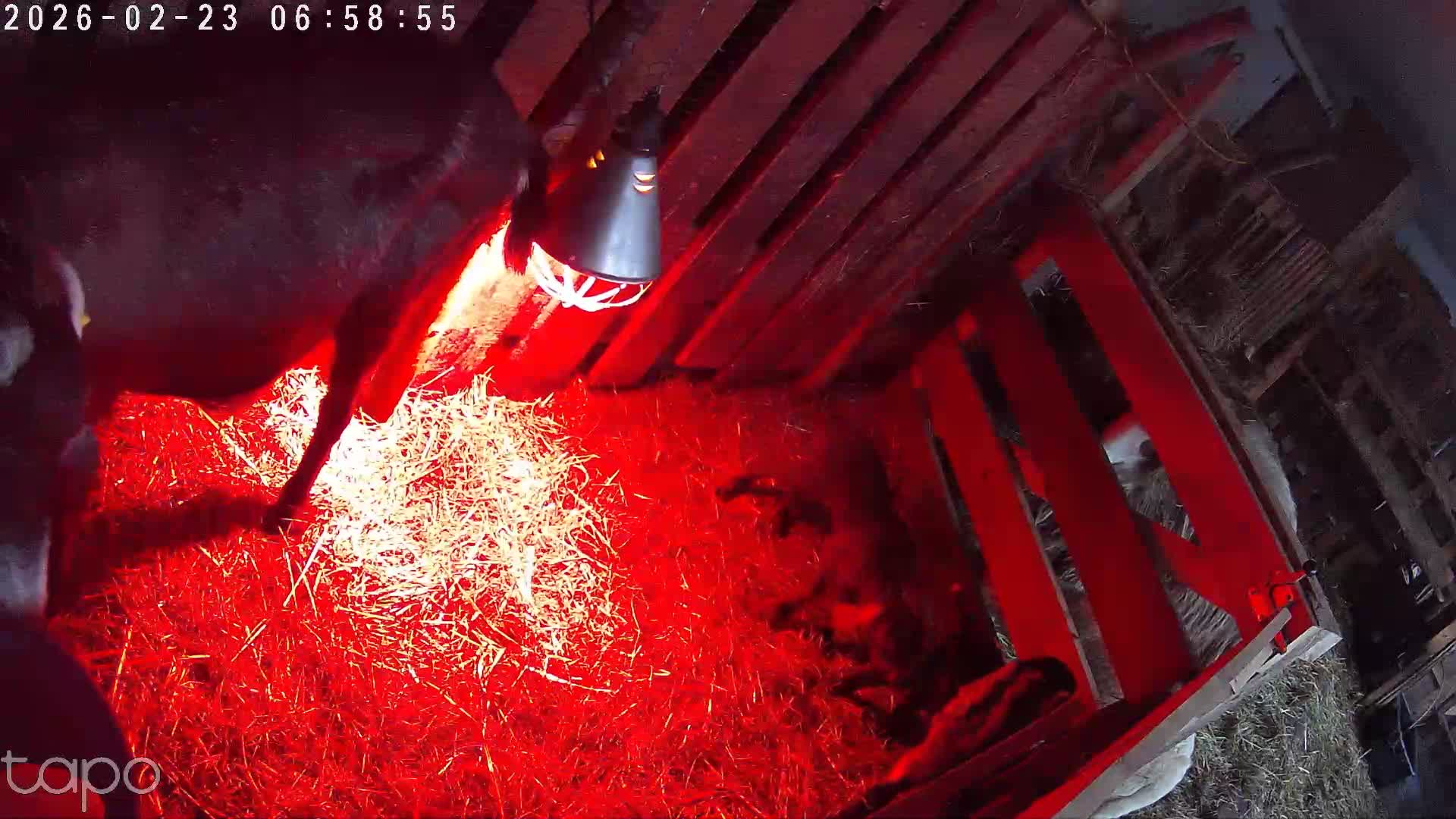 Einzelnes Video thumbnail