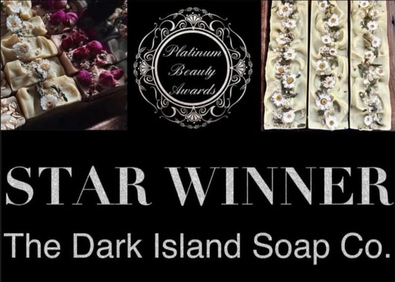 Platinum Beauty Awards: Star Award Winners, 2025