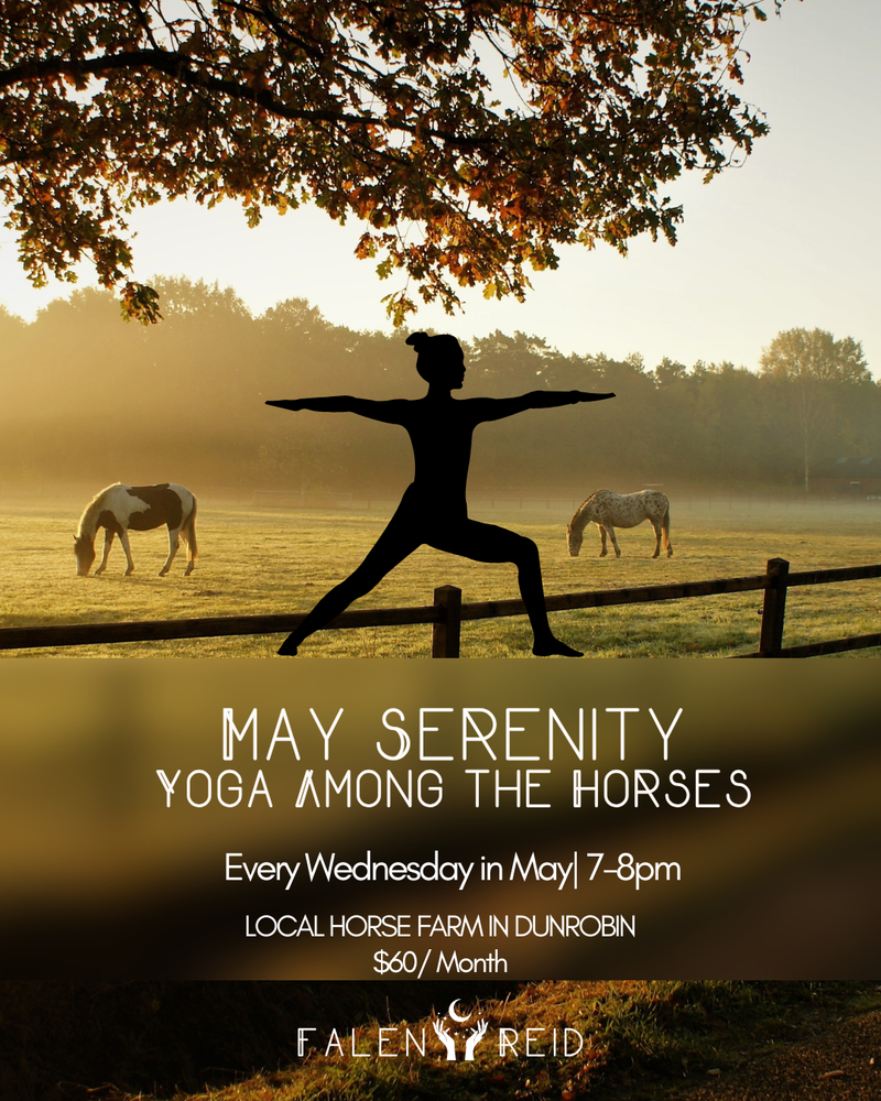 Yoga among the Horses
