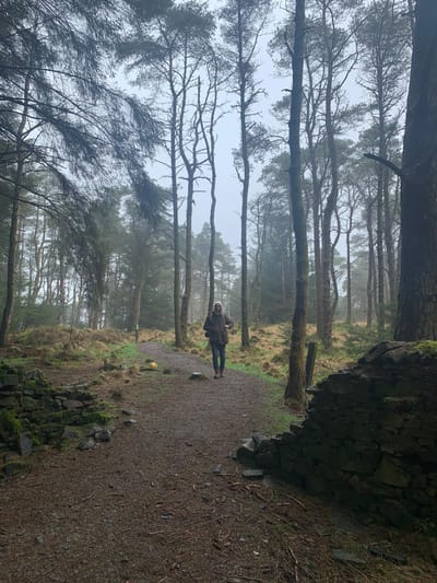 COMPANY INFORMATION image