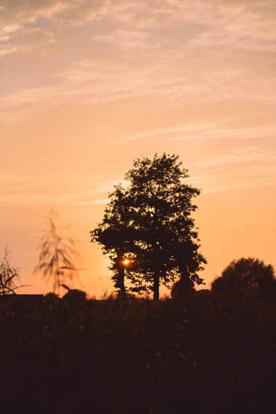 COMPANY INFORMATION image