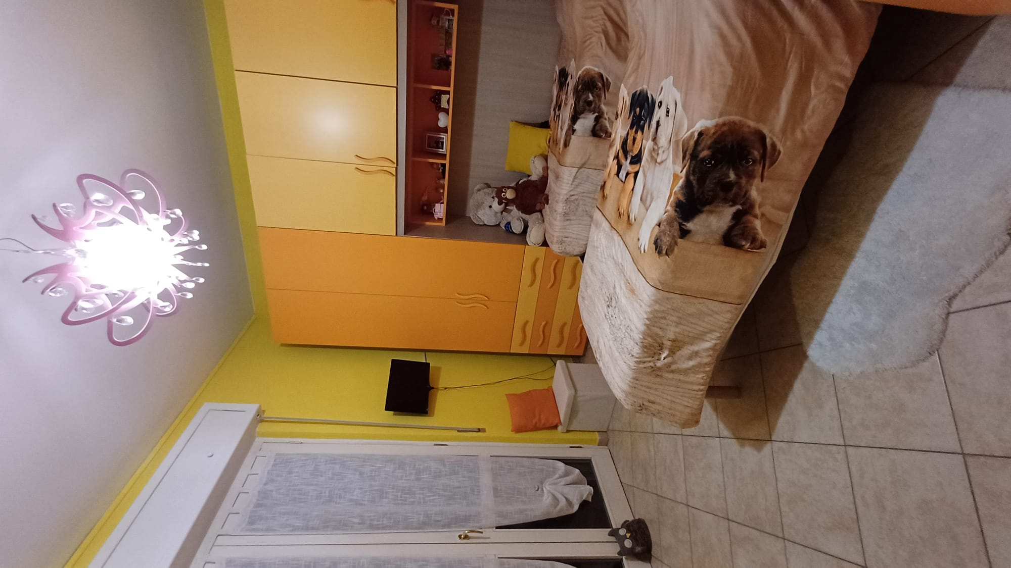 Trilocale in ottime condizioni