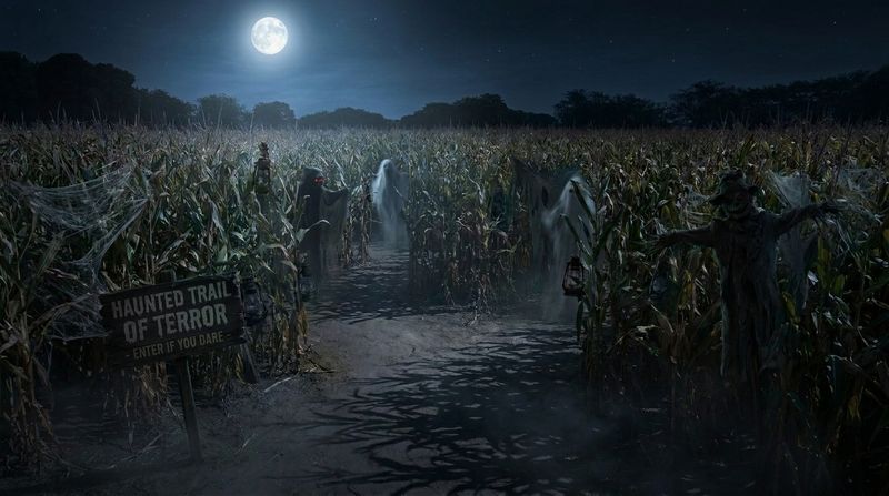 Trail of Terror