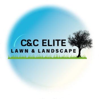 C&C ELITE