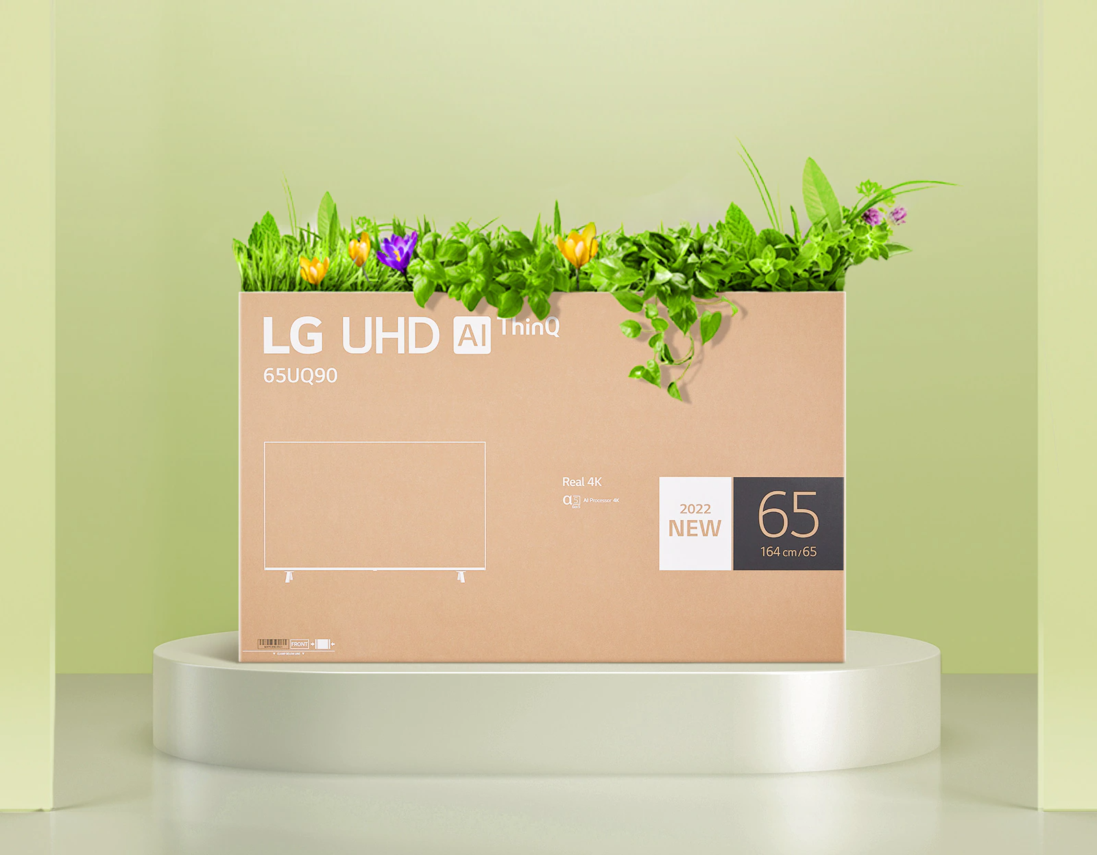 Une boîte à fleurs recyclée à l’aide d’un emballage de boîte de moniteur UHD de LG.