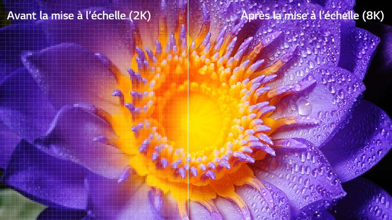 L’image d’une fleur en définition originale 2K sur la gauche et mise à l’échelle en 8K sur la droite.