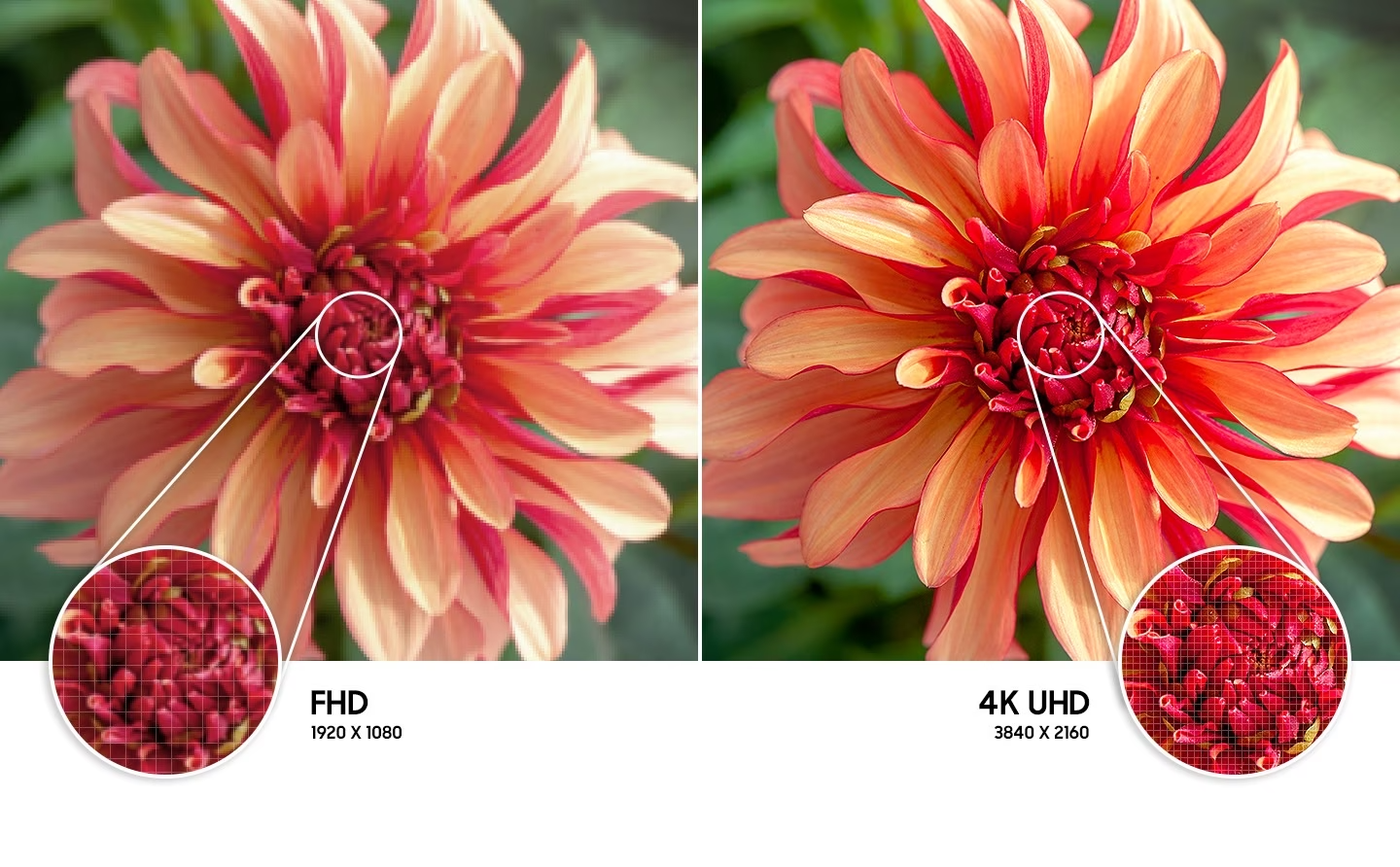 Plongez dans la réalité grâce à la résolution 4K UHD