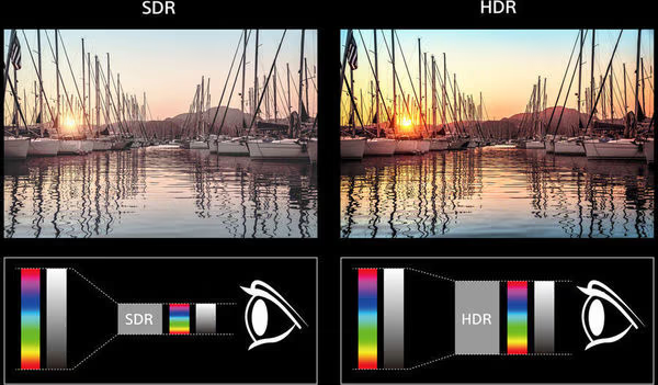 Sony KD-65X81J : dalle Triluminos compatible HDR