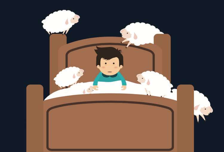 Le sommeil