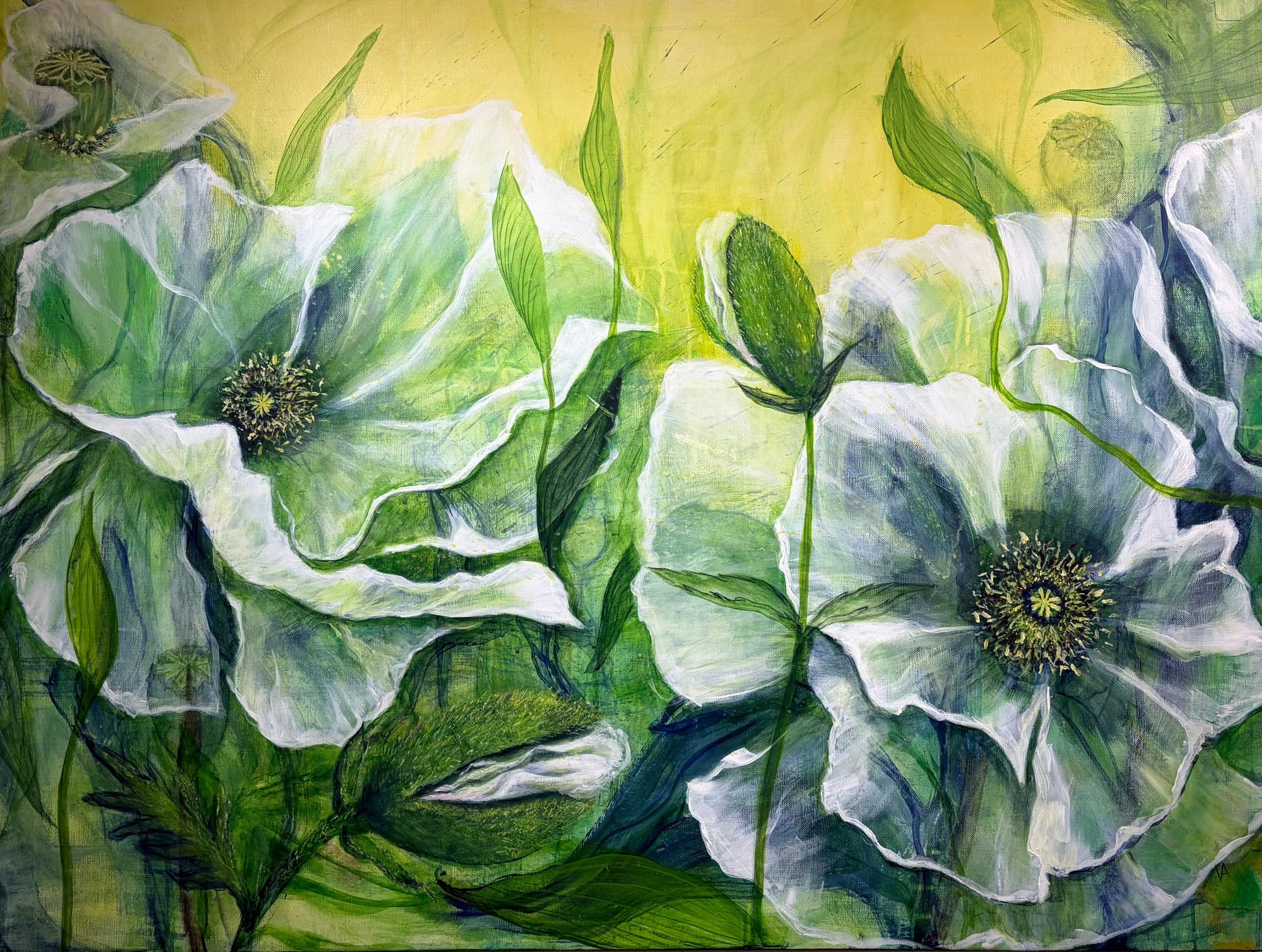 Hydrangea in Blue ( blå Hortensiakr