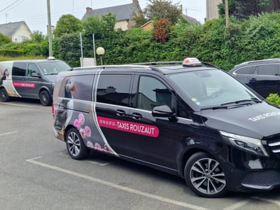 TAXIS MEDICAUX image