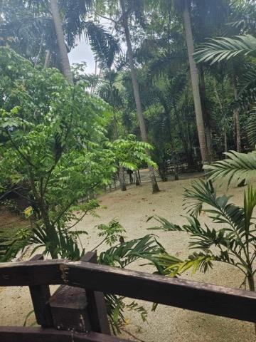 Vacation Fun Pictures