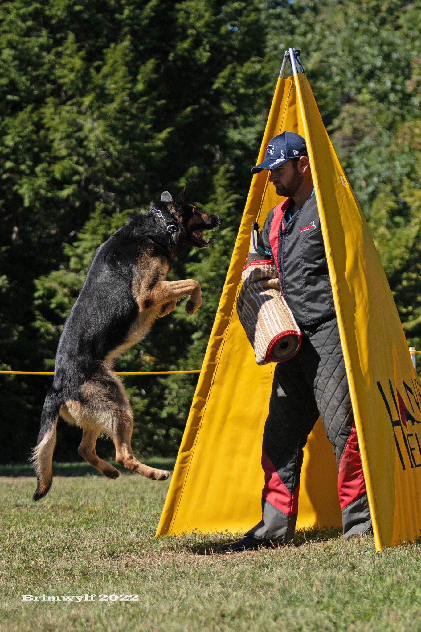 German Commands and English