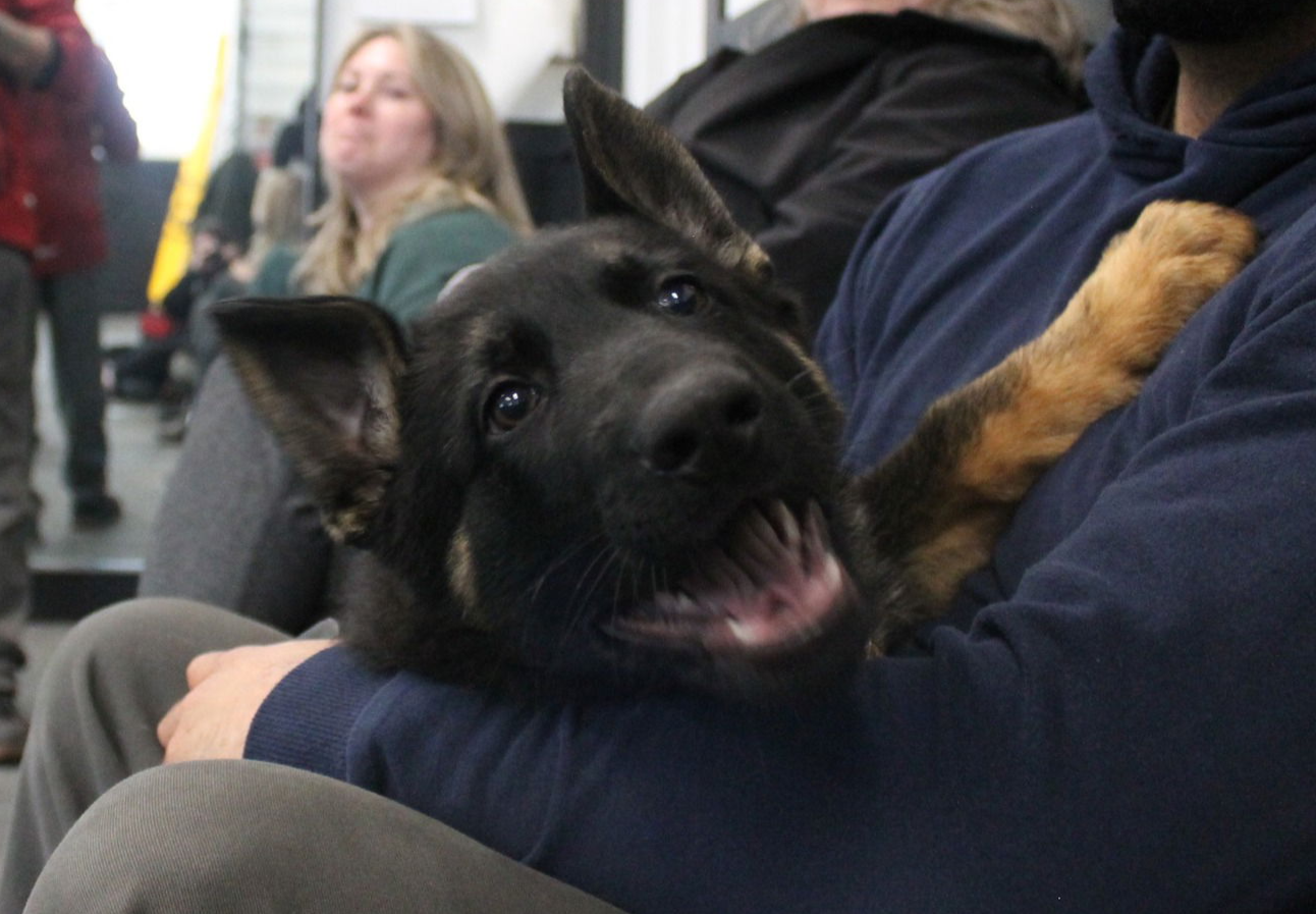 Donny von den Unvergessenen