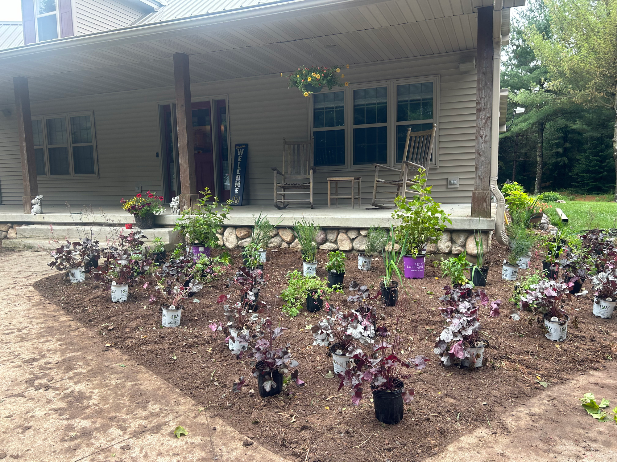 During- Perennial Plant Layout.