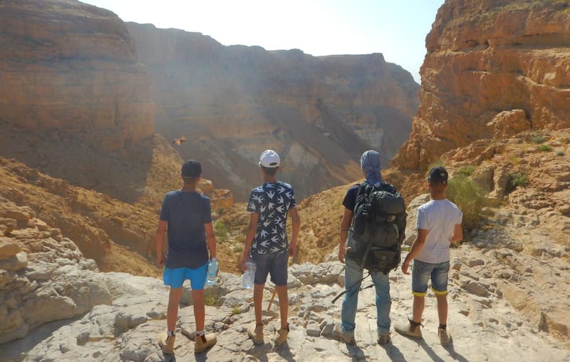 מסעות טיפוליים
