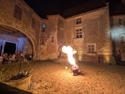 a voir, a faire  image