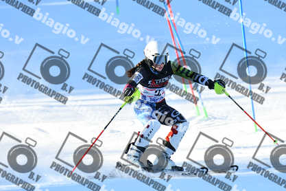 PER ACQUISTARE I FILE