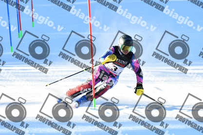 PER ACQUISTARE I FILE