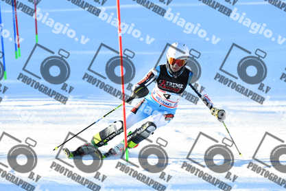 PER ACQUISTARE I FILE