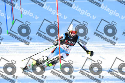 PER ACQUISTARE I FILE