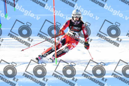 PER ACQUISTARE I FILE