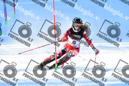 PER ACQUISTARE I FILE