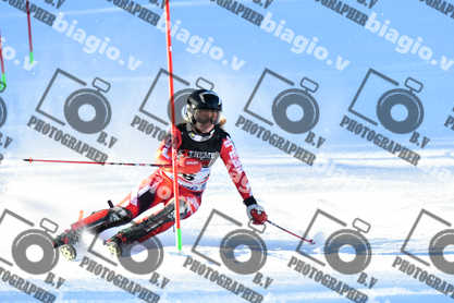 PER ACQUISTARE I FILE