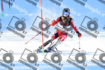 PER ACQUISTARE I FILE