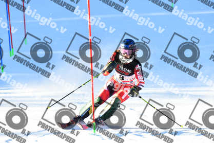 PER ACQUISTARE I FILE