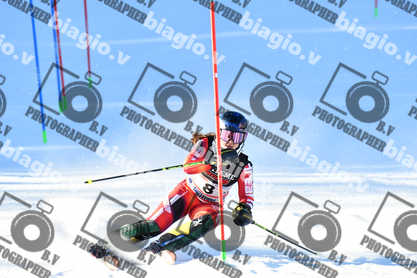 PER ACQUISTARE I FILE