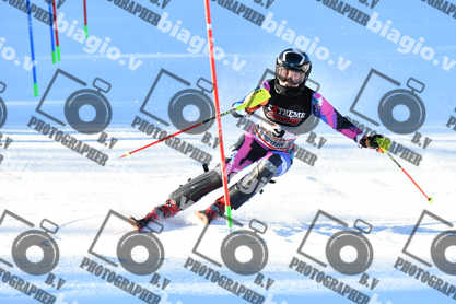 PER ACQUISTARE I FILE