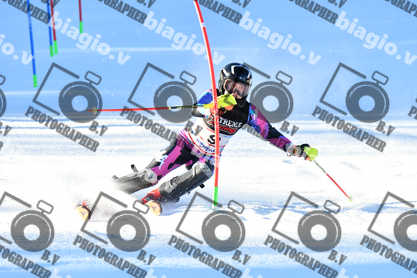 PER ACQUISTARE I FILE