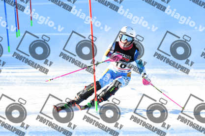 PER ACQUISTARE I FILE