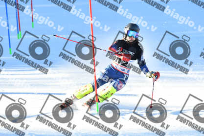 PER ACQUISTARE I FILE