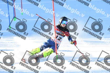 PER ACQUISTARE I FILE