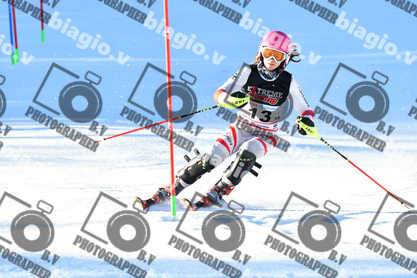 PER ACQUISTARE I FILE