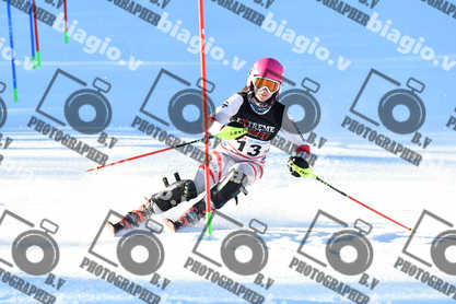 PER ACQUISTARE I FILE