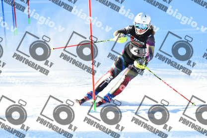 PER ACQUISTARE I FILE