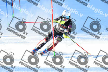 PER ACQUISTARE I FILE