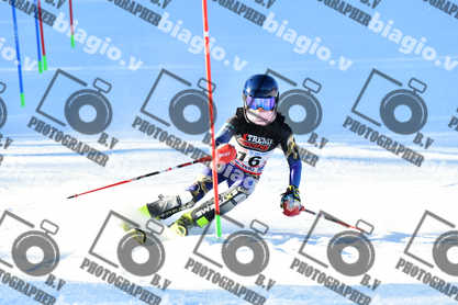 PER ACQUISTARE I FILE